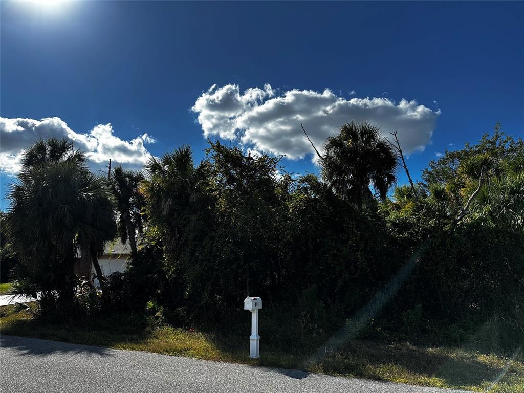 347 TROUTDALE STREET, PORT CHARLOTTE, FL — photo 3 of 3
