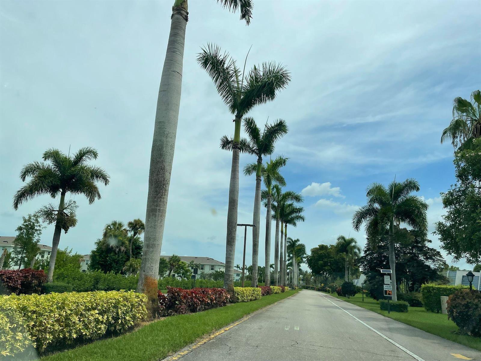 4539 Luxemburg Court # 202, Lake Worth FL 33467