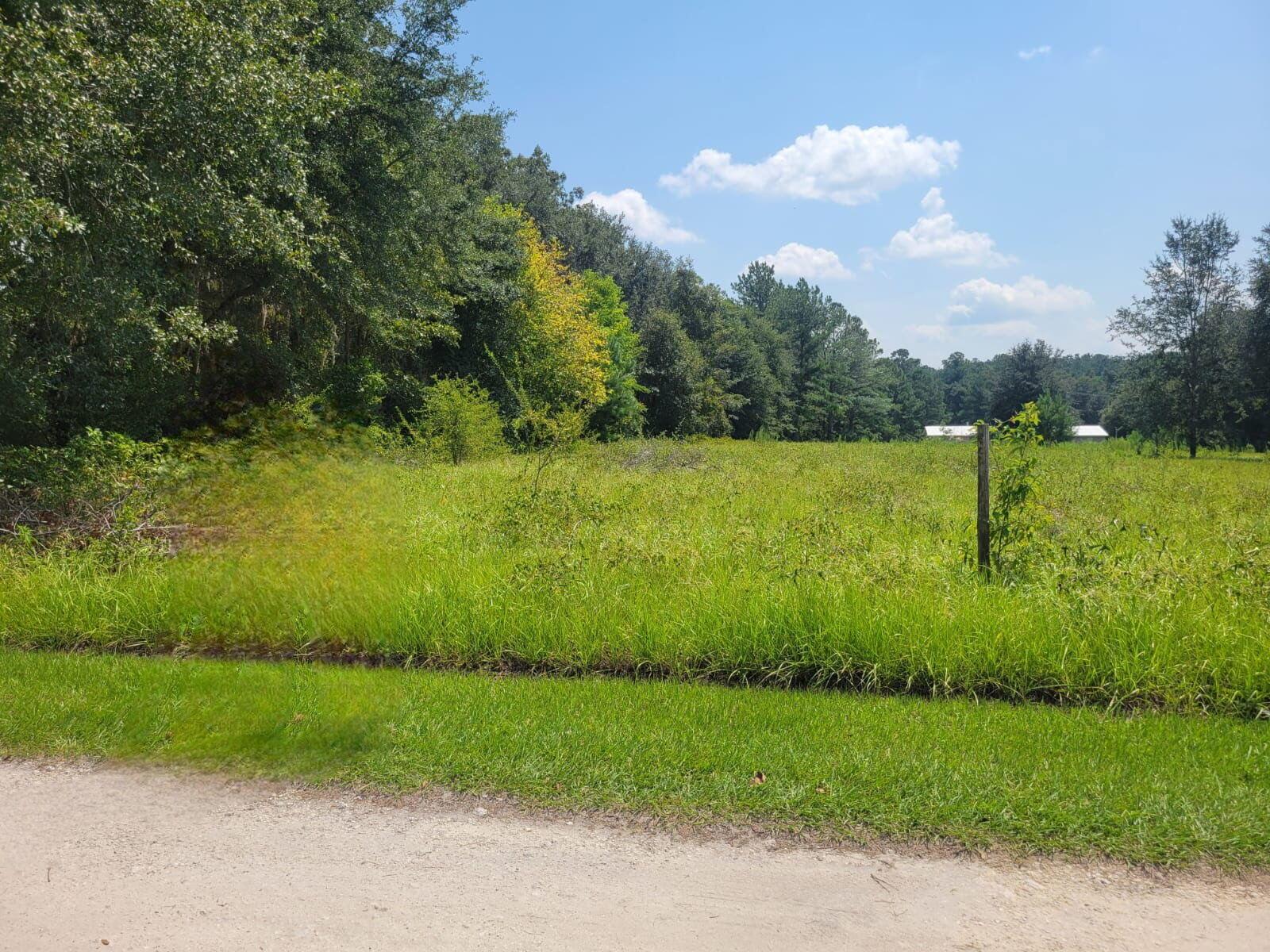 A grassy, undeveloped lot borders a line of trees next to a dirt road — 00 SW 67th Street, FL 32054, FL