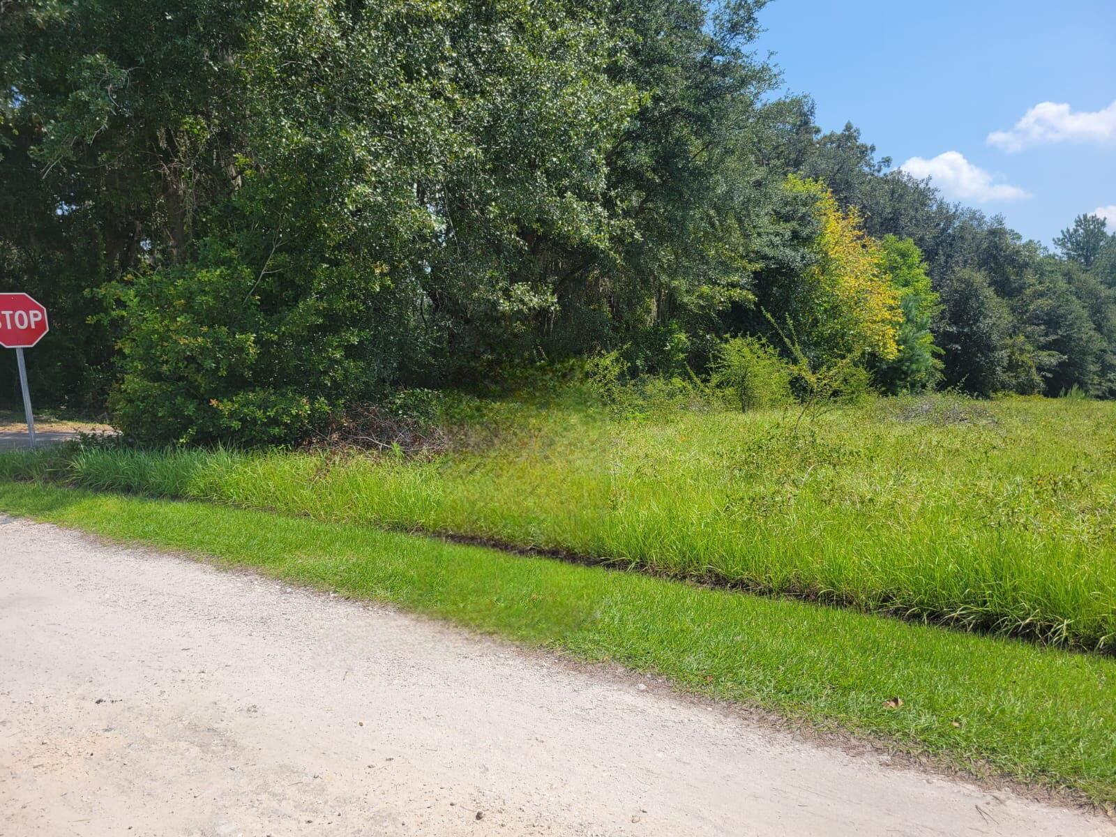 A gravel road runs alongside a grassy lot bordered by a dense line of trees — 00 SW 67th Street, FL 32054, FL