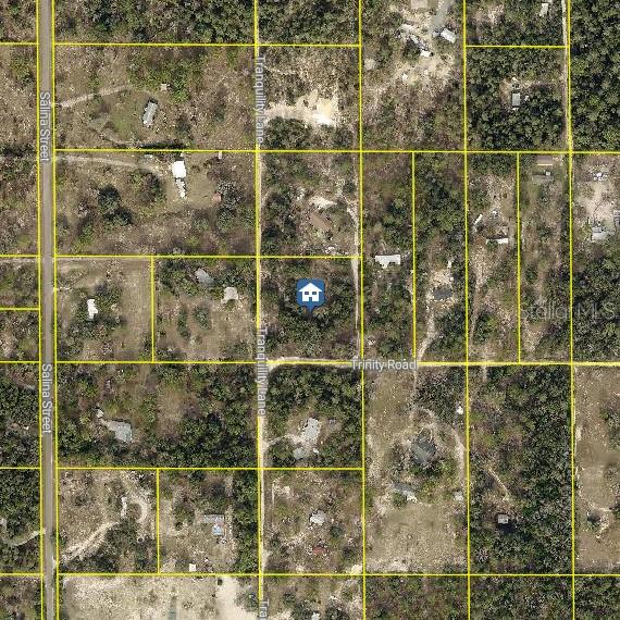 This is an aerial map showing a property lot marked with a house icon — TRINITY ROAD, BROOKSVILLE, FL