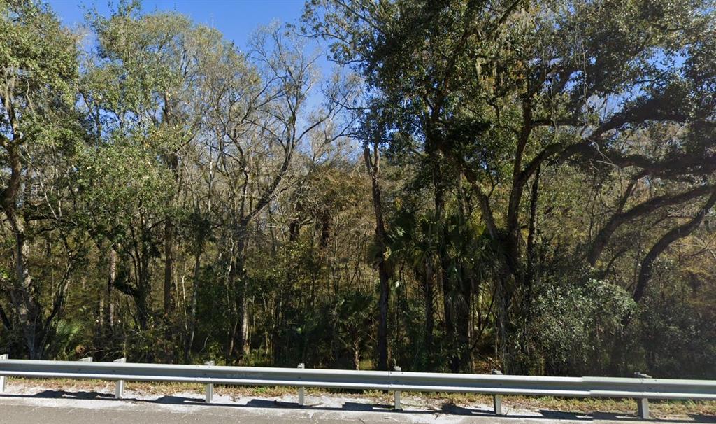 A dense wooded area sits behind a metal guardrail along a road — 2550 PAUL S BUCHMAN HIGHWAY, ZEPHYRHILLS, FL