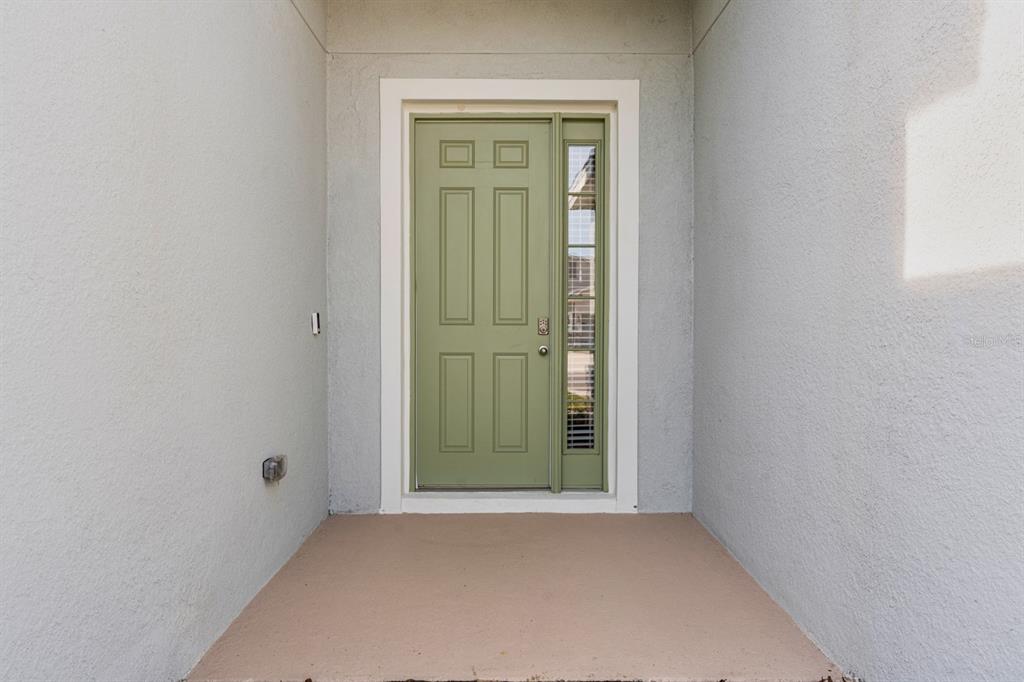 A sage green front door with a side window sits within a covered entryway — 3507 GOLDEN WHEAT LANE, PLANT CITY, FL