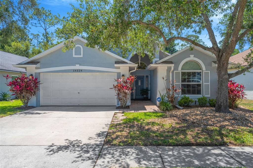 14524 WEEPING ELM DRIVE