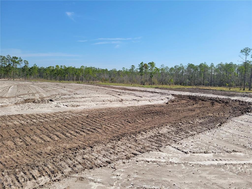 A large, cleared plot of land features tire tracks in the dirt and distant trees — 1051 OMEGA RANCH ROAD UNIT 15, NEW SMYRNA BEACH, FL