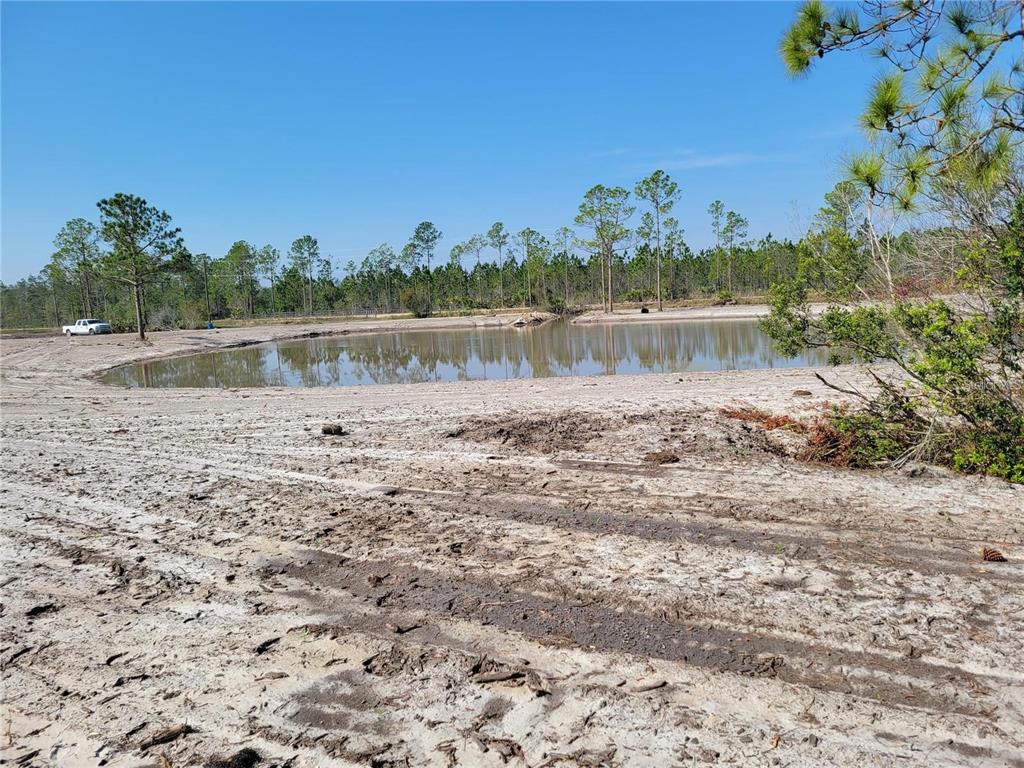 A pond sits in a cleared, sandy lot surrounded by pine trees under a clear sky — 1051 OMEGA RANCH ROAD UNIT 15, NEW SMYRNA BEACH, FL