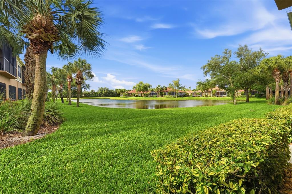 A grassy lawn leads to a pond surrounded by palm trees and residential buildings — 7321 SKYBIRD ROAD UNIT 397, BRADENTON, FL