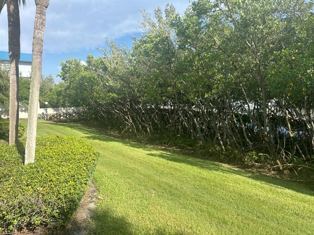 A grassy lawn leads to a line of mangrove trees bordering a body of water — 1312 PASADENA AVENUE S UNIT 15, ST PETERSBURG, FL