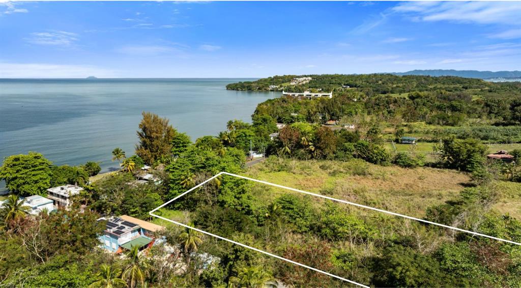 An aerial view shows a vacant, grassy lot bordered by trees near a coastal shoreline — Carr 102 KM.HM 10.3 BO. GUANAJIBO, SECTOR JOYUDA, CABO ROJO, PR