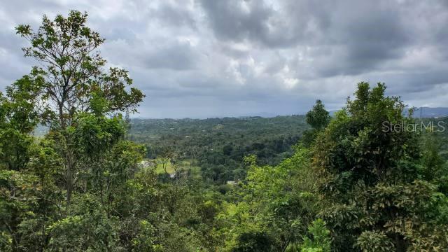 A scenic, elevated view of a lush, green valley under a cloudy sky — KM. 1.8 PR-678, VEGA ALTA, PR