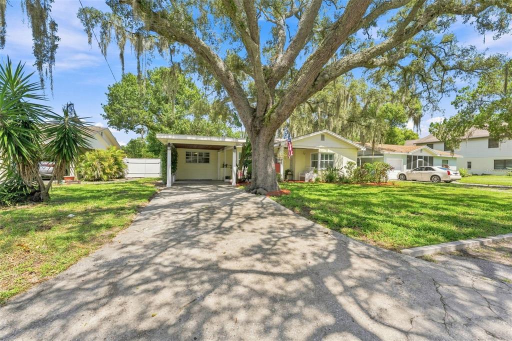 A single-story house with a carport and a large oak tree in the front yard — 1317 DIVOT LANE, TAMPA, FL