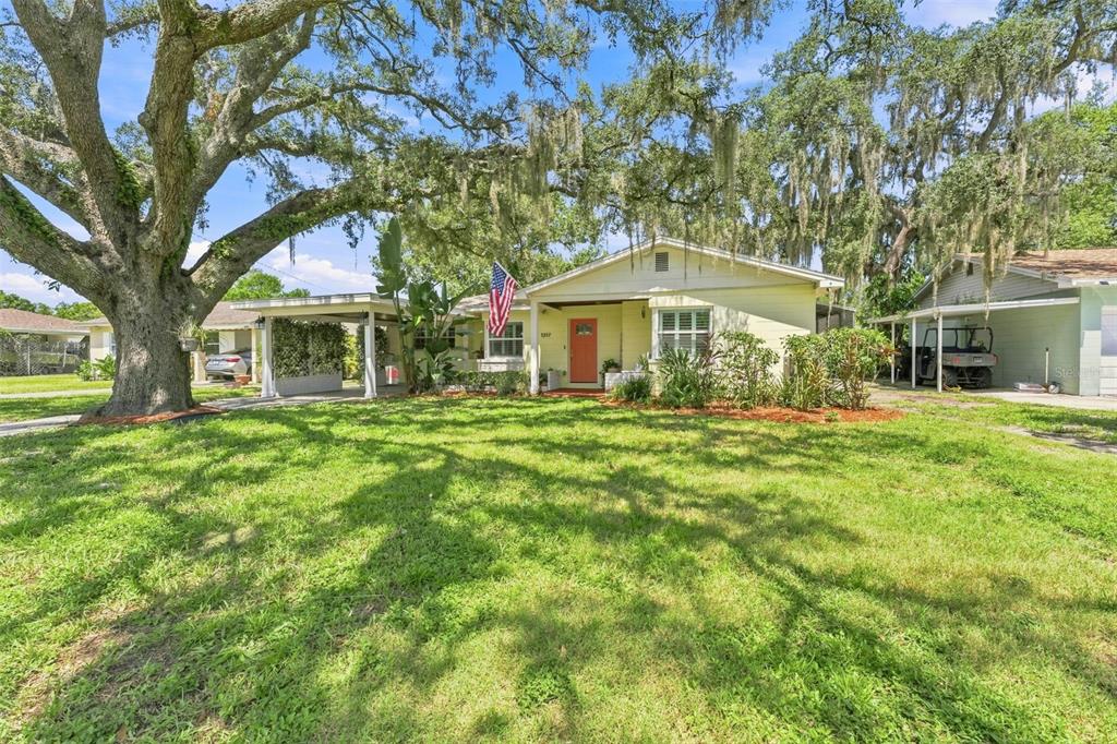 A single-story house with a yellow exterior, a red front door, and a large oak tree — 1317 DIVOT LANE, TAMPA, FL