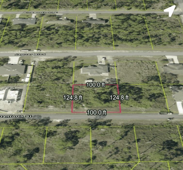 An aerial map view shows a rectangular residential lot with dimensions of 100 by 124.8 feet — 1047 Danforth St, Lehigh Acres FL 33974, LEHIGH ACRES, FL