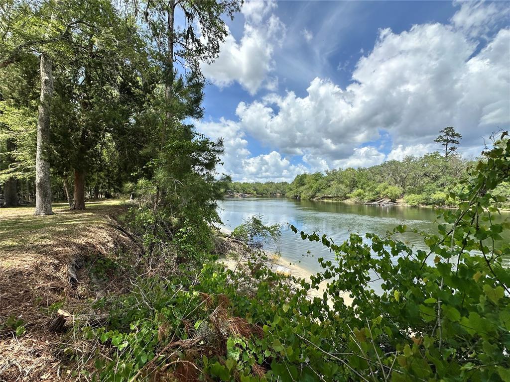 A view of a riverbank with trees, vegetation, and a sandy shore under a cloudy sky — 3019 NE 709TH AVENUE, OLD TOWN, FL