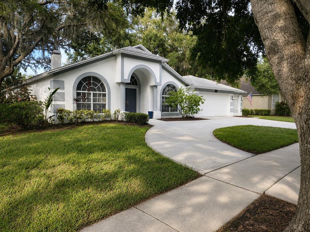 A single-story white house with arched windows, a gray-trimmed entryway, and a concrete driveway — 15211 ARBOR HOLLOW DRIVE, ODESSA, FL