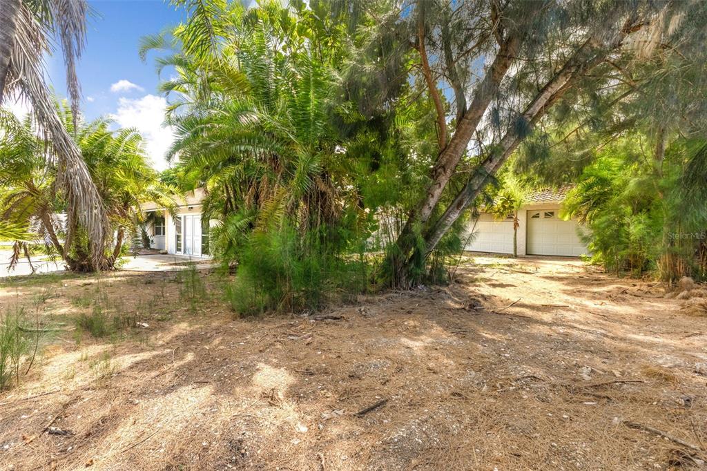 A dirt yard with overgrown trees and shrubs leads to a house with a garage — 887 LEEWARD ROAD, VENICE, FL