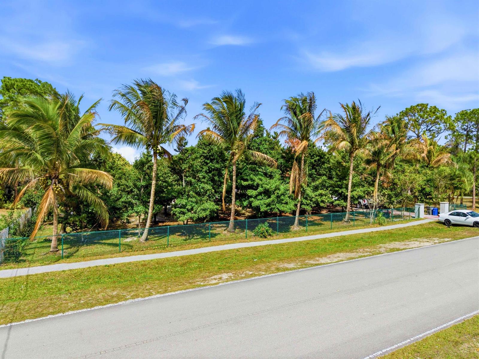 An exterior view shows a row of palm trees behind a fence along a road — 11481 Tangerine Boulevard, FL 33412, FL