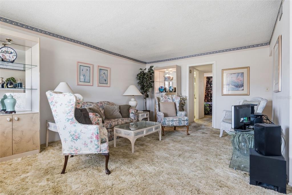 A living room features floral furniture, beige carpeting, built-in shelving, and a doorway to another room — 4890 BAY STREET NE UNIT 326, ST PETERSBURG, FL