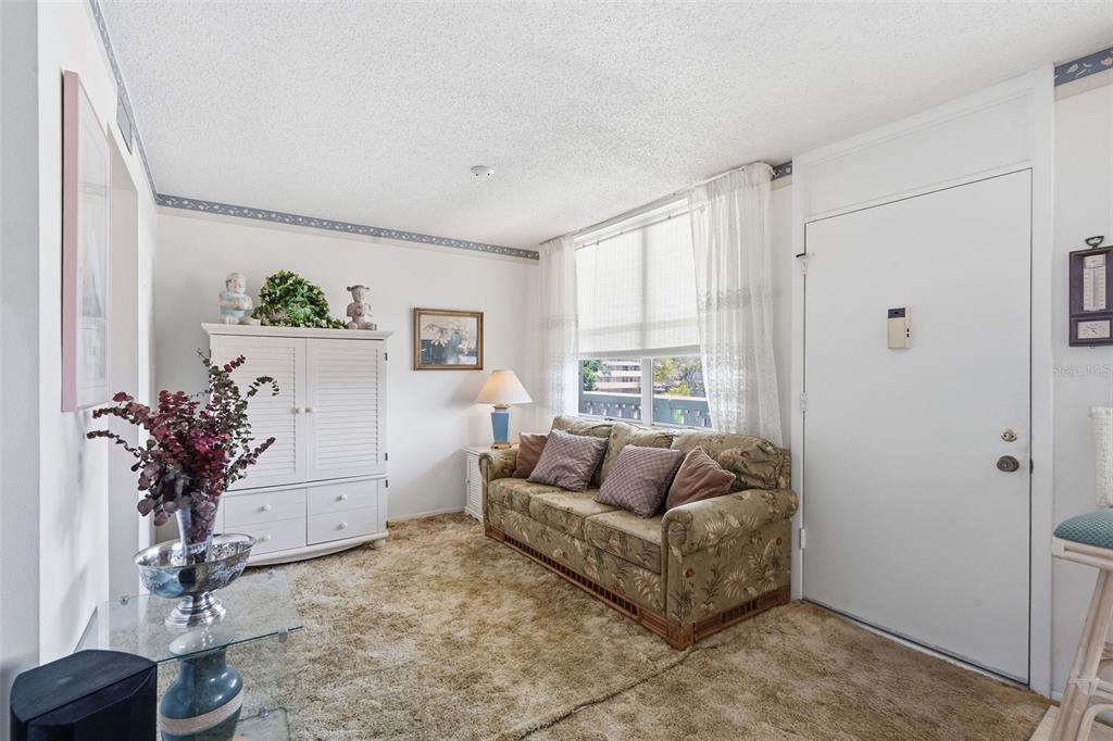A living room features a floral sofa, beige carpet, white cabinetry, and a large window — 4890 BAY STREET NE UNIT 326, ST PETERSBURG, FL