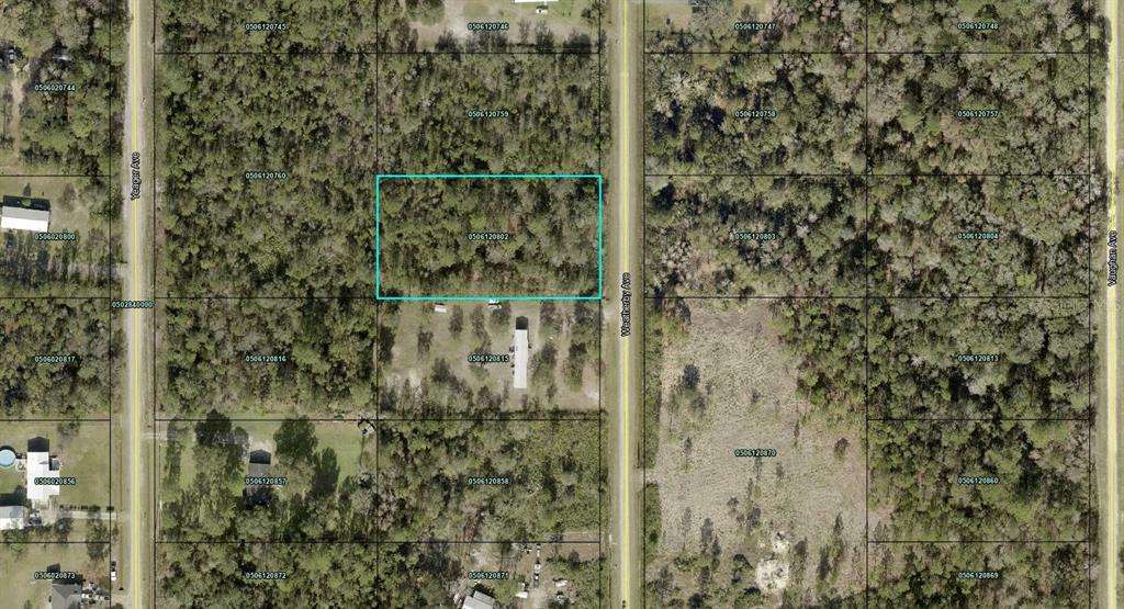 This is an aerial map showing a highlighted rectangular parcel of land among wooded lots — 10265 WEATHERBY AVENUE, HASTINGS, FL