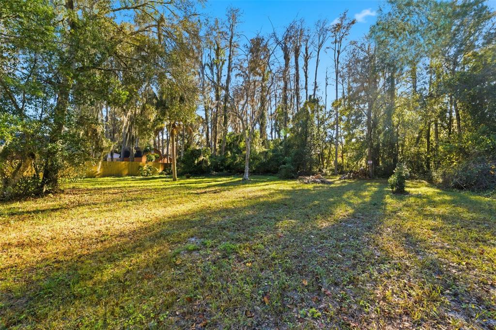 A grassy, sunlit lot is surrounded by tall trees and a wooden fence — 0 MOON LAKE CIRCLE, NEW PORT RICHEY, FL