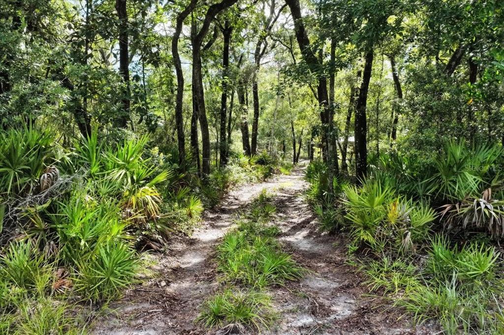 0000 SW COUNTY ROAD 347