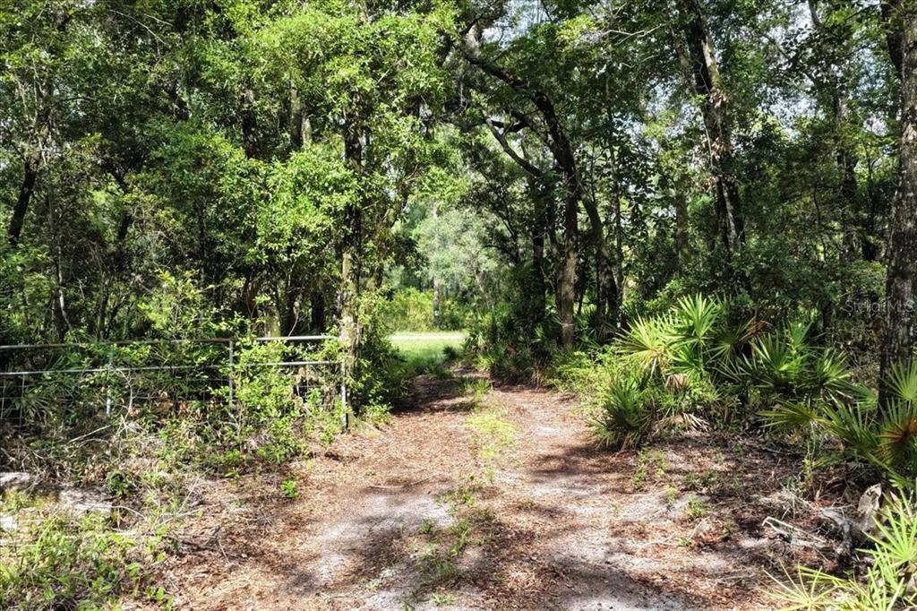 A dirt path leads through a wooded area past a metal wire fence — 0000 SW COUNTY ROAD 347, CHIEFLAND, FL