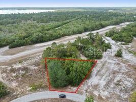 An aerial view shows a vacant, wooded lot outlined in red along a curved road — 1329 HOMOSASSA COURT, KISSIMMEE, FL