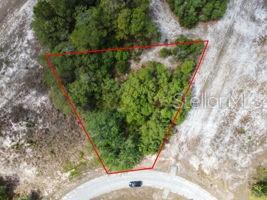 An aerial view shows a wooded, triangular-shaped vacant lot bordered by a paved cul-de-sac — 1329 HOMOSASSA COURT, KISSIMMEE, FL