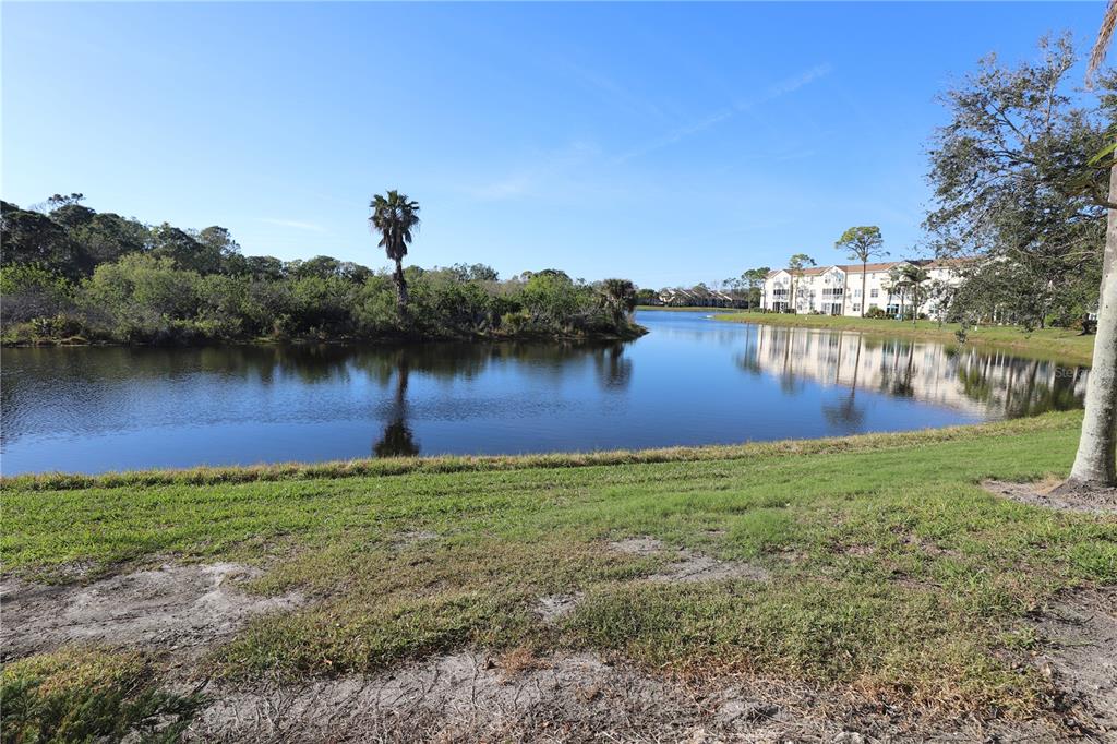 A grassy bank overlooks a calm lake with trees and apartment buildings in the background — 8370 WINGATE DRIVE UNIT 714, SARASOTA, FL