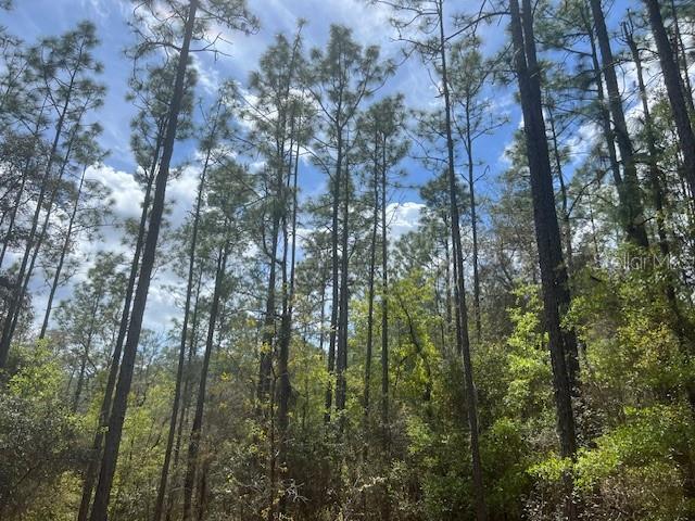 181 WHIRLWIND LOOP, HAWTHORNE, FL — photo 2 of 8