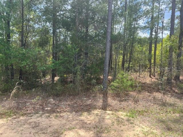 181 WHIRLWIND LOOP, HAWTHORNE, FL — photo 3 of 8