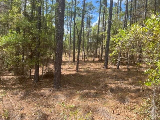 181 WHIRLWIND LOOP, HAWTHORNE, FL — photo 4 of 8
