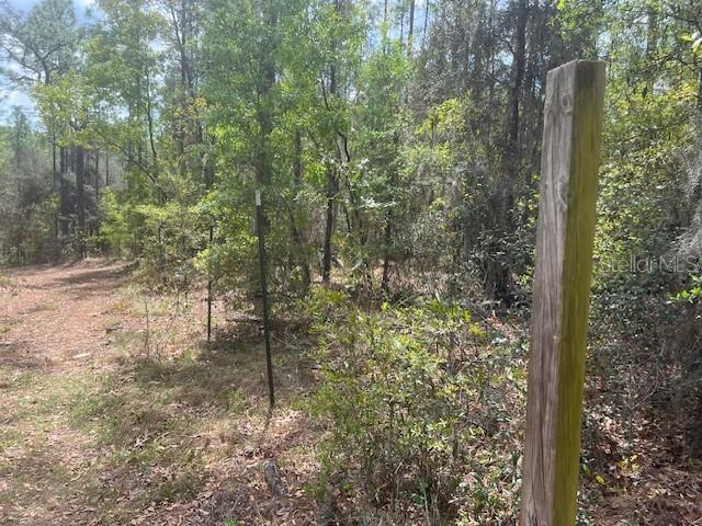 181 WHIRLWIND LOOP, HAWTHORNE, FL — photo 5 of 8