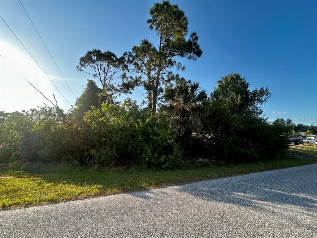 A vacant, overgrown lot with several tall trees and shrubs borders a paved road — LOT 21 ARMOUR TERRACE, NORTH PORT, FL