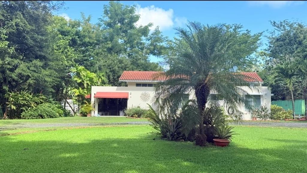 A single-story house with a red tile roof sits behind a large lawn and palm tree — 177 VANDA STREET, GUAYNABO, PR