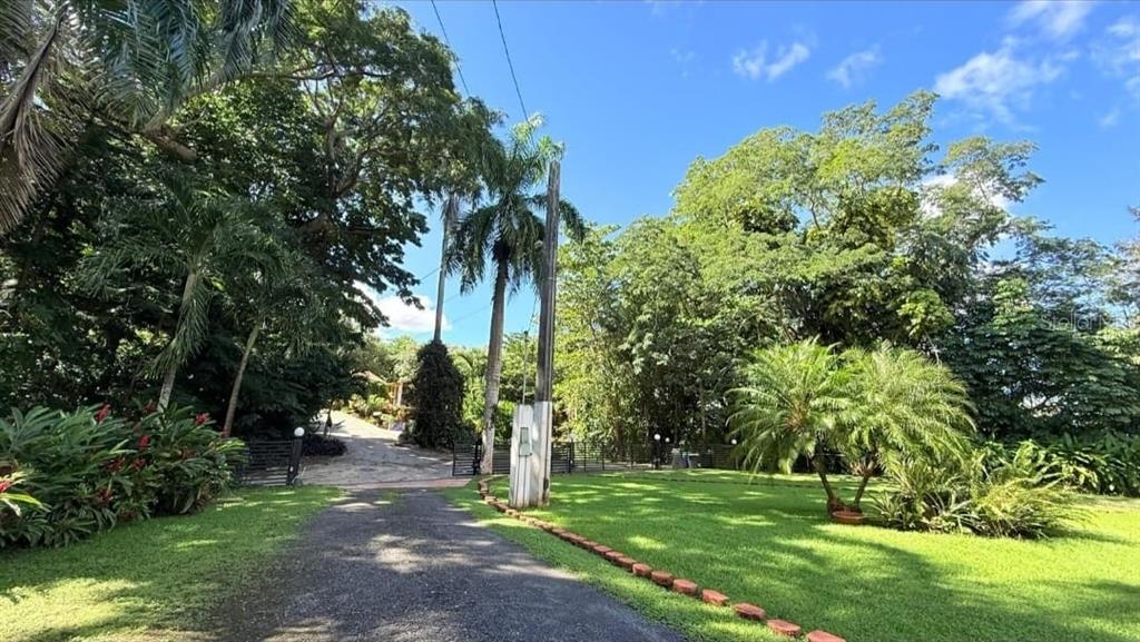 A gravel driveway leads toward a gated entrance surrounded by lush trees and green lawns — 177 VANDA STREET, GUAYNABO, PR