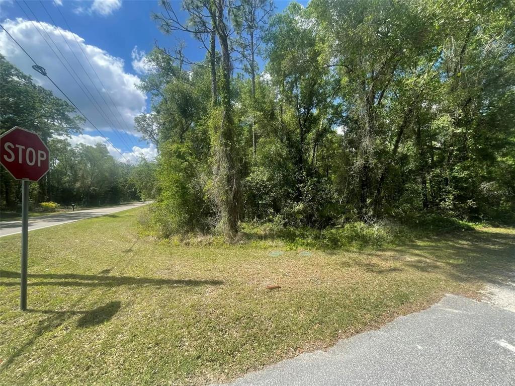 A grassy corner lot with dense trees sits beside a paved road and stop sign — 0 HAAS DRIVE, WEBSTER, FL