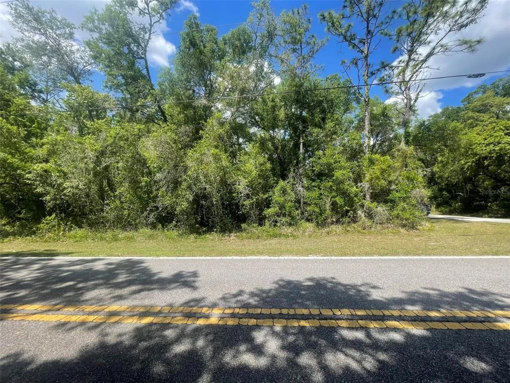 A paved road runs in front of a dense, wooded lot under a blue sky — 0 HAAS DRIVE, WEBSTER, FL