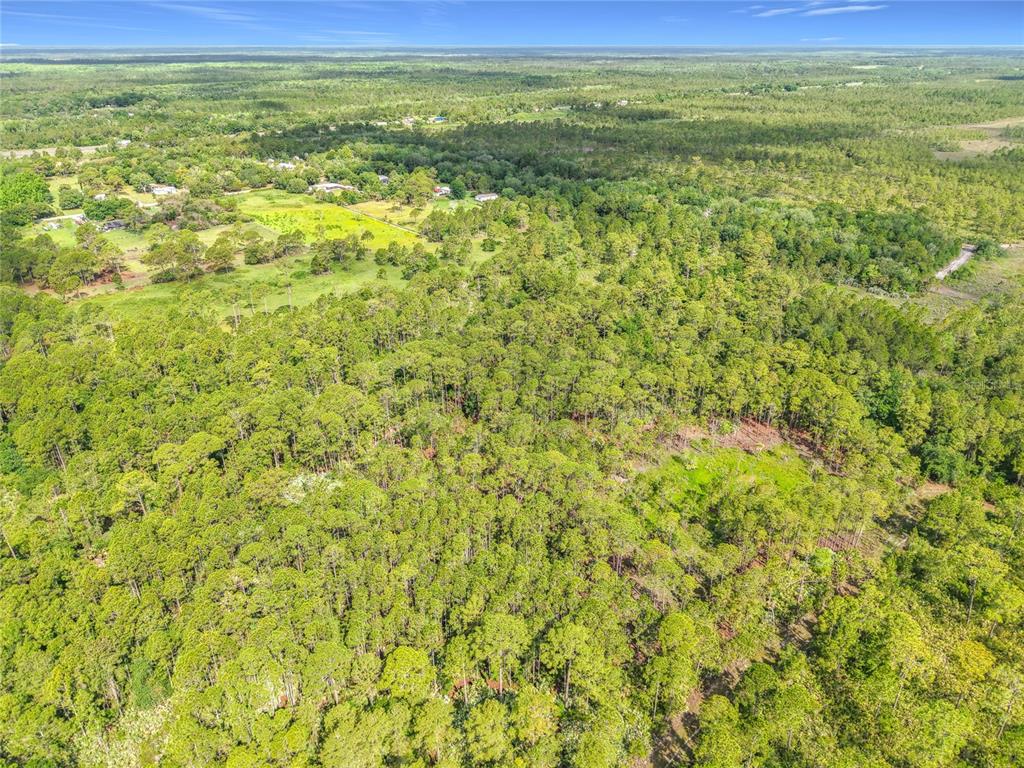 An aerial view shows a large, wooded plot of land with scattered houses in the distance — 20G-34-03-AI-5-3.19, MIMS, FL