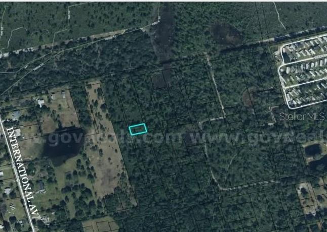 An aerial map view shows a rectangular property lot highlighted in blue within a wooded area — 20G-34-03-AI-5-3.19, MIMS, FL