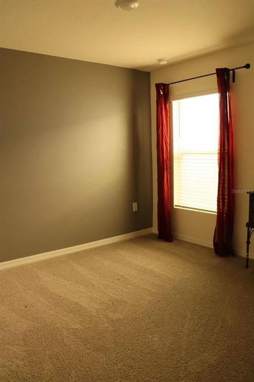 A bedroom features beige carpet, a gray accent wall, and a window with red curtains — 1668 HAZY SEA DRIVE, PLANT CITY, FL