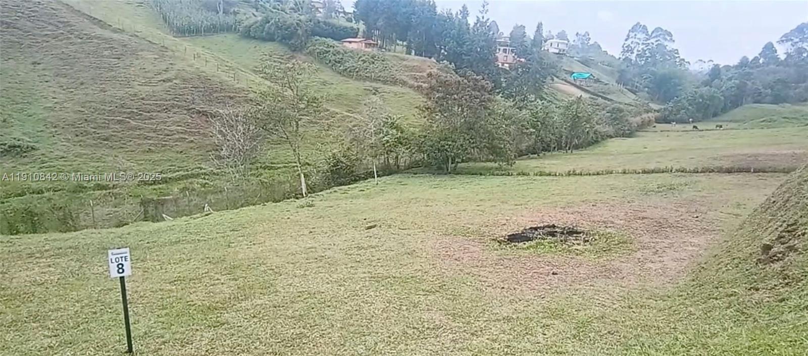 A grassy, sloped plot of land is marked with a sign labeled Lote 8 — Vereda Mmpuesto Sector Garrido #8, C Colombia, C