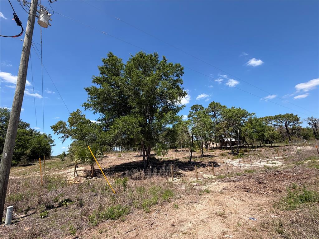 A utility pole stands beside a fenced, partially cleared lot with several mature trees — TBD SW 169TH COURT UNIT 18, OCALA, FL
