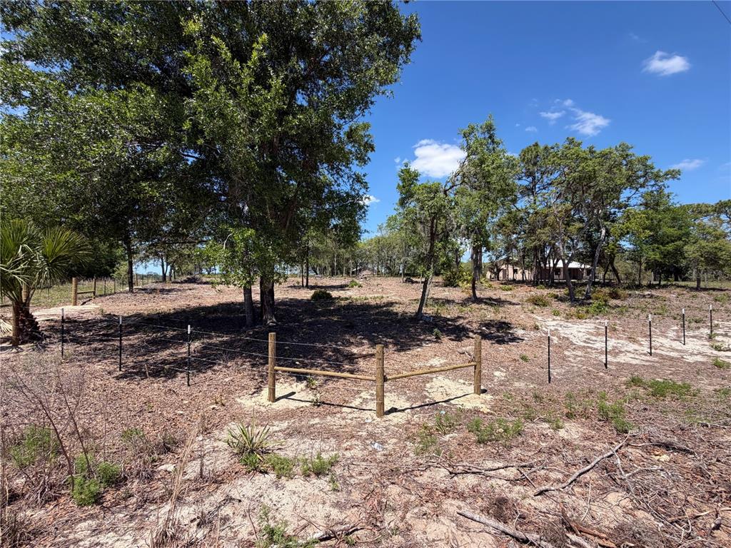 A fenced, sandy lot features scattered trees under a clear blue sky — TBD SW 169TH COURT UNIT 18, OCALA, FL