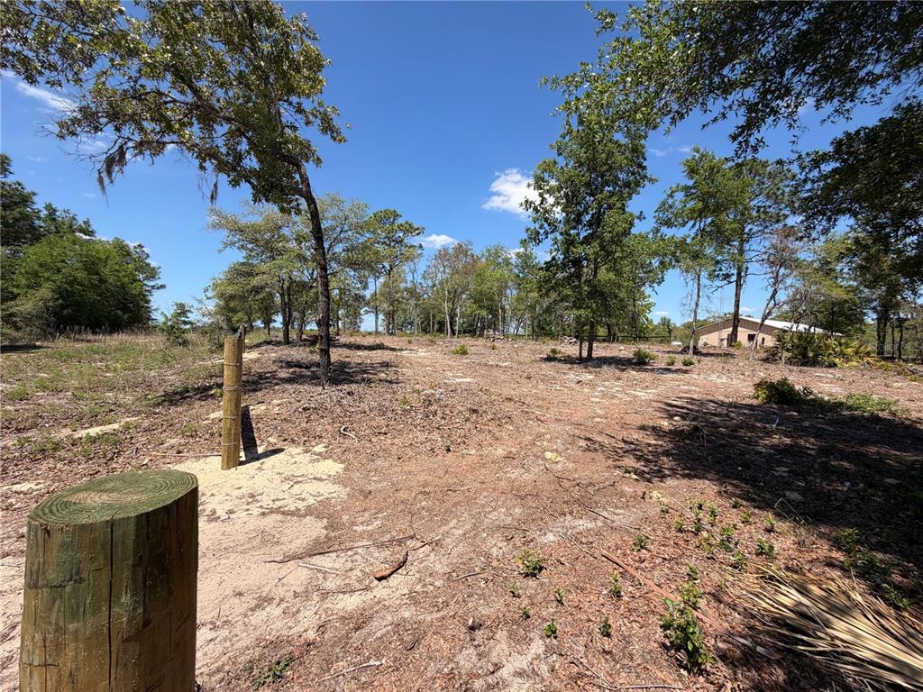 A cleared, sandy lot with scattered trees and wooden fence posts under a blue sky — TBD SW 169TH COURT UNIT 18, OCALA, FL