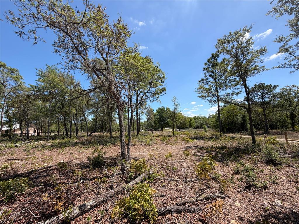 A wooded, partially cleared lot under a bright blue sky — TBD SW 169TH COURT UNIT 18, OCALA, FL