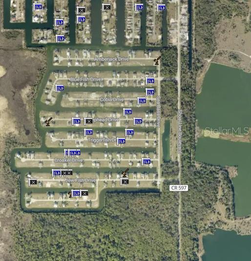 This is a satellite map showing a residential canal community with multiple properties marked — 0 JEWFISH DRIVE, HERNANDO BEACH, FL