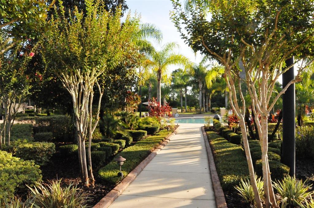 A paved walkway leads through a landscaped garden toward a swimming pool in the distance — 3894 SAFFLOWER TERRACE, OVIEDO, FL