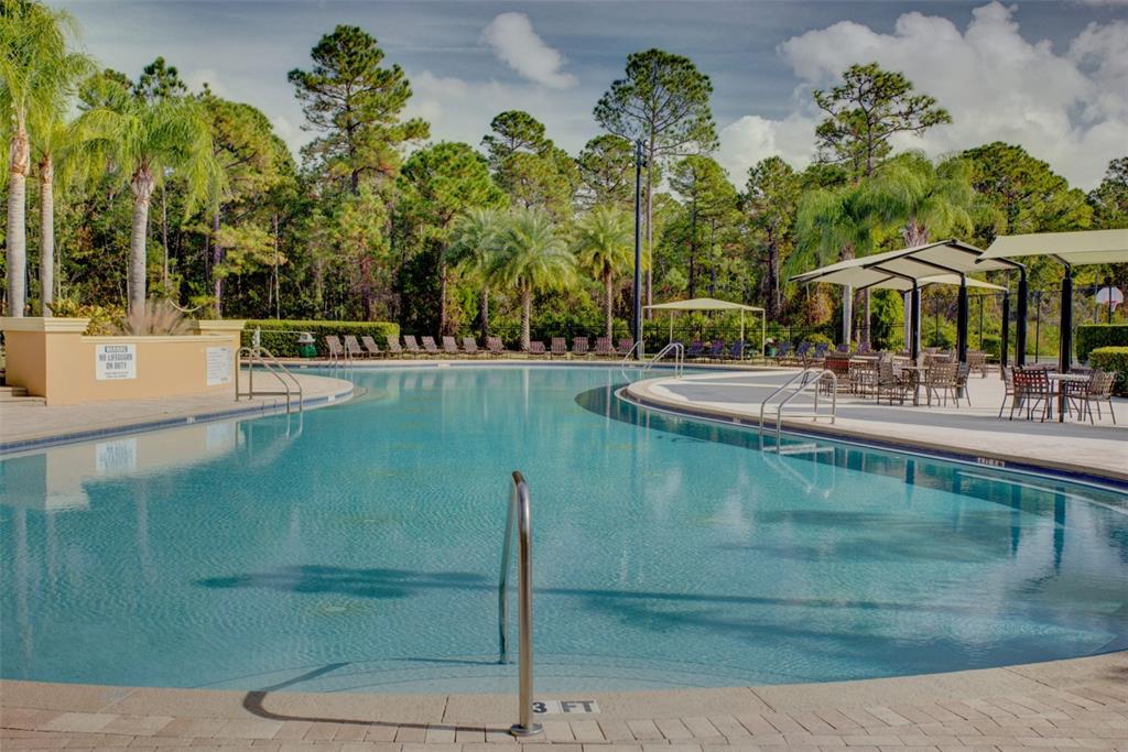 A large outdoor swimming pool surrounded by lounge chairs, patio tables, and pine trees — 3894 SAFFLOWER TERRACE, OVIEDO, FL
